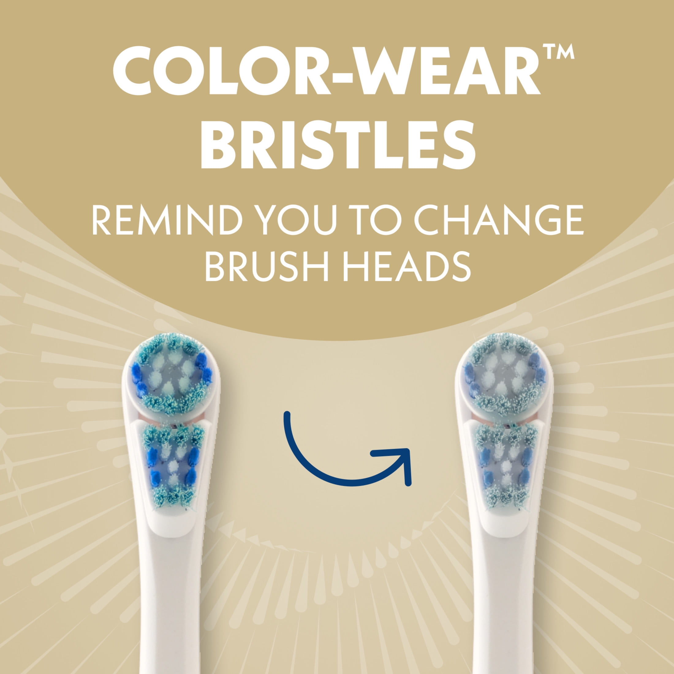 Spinbrush Smart Clean Battery Powered Electric Toothbrush, Soft Bristles, Champagne