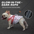 thumbnail image 4 of Behome 16Ft Retractable Dog Leash,Walking Leash for Medium Dogs/Cats Up to 66lbs,Luminous Spring Strong Nylon Tape, 360° Tangle Free, One-Handed Brake, 4 of 8