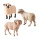 thumbnail image 4 of Conjunto de modelos de animales simulados, figuras de ovejas, juguetes cognitivos, decoración de macetas, hadas, 4 of 9