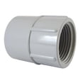 thumbnail image 1 of IPEX 9663329 2 in. Female Conduit PVC Adapter, Grey, 1 of 1