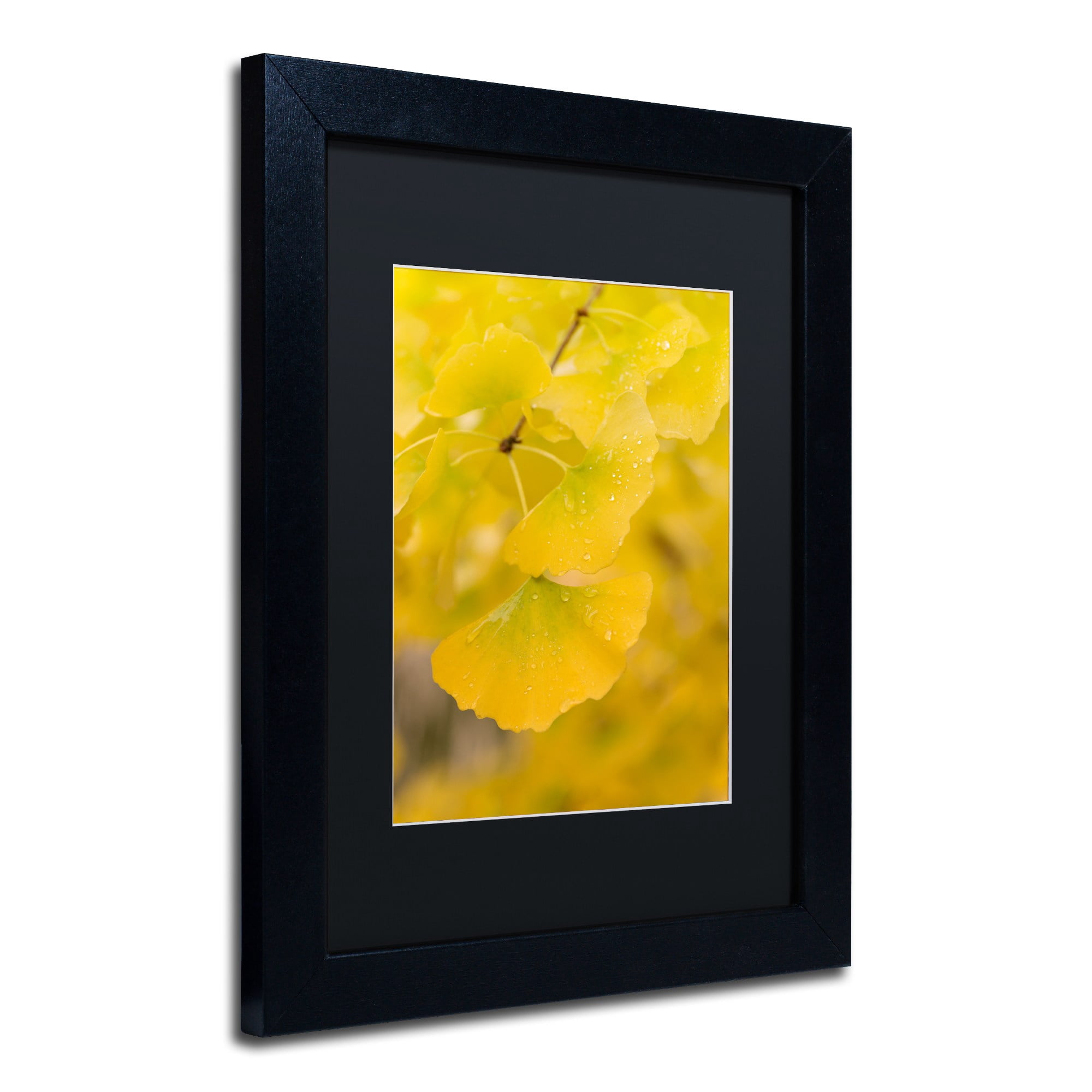 Trademark Fine Art "Millennium" Canvas Art by Philippe Sainte-Laudy Black Matte, Black Frame