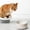 White, variant on Ceramic Heated Pet Bowl with Constant Temperature, Winter Warm Food Water Dish for Cats Dogs, Elevated Cervical Spine Feeding Design, Dishwasher Safe, Indoor Use, Non-Slip Base
