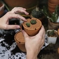 thumbnail image 4 of 4 Pieces Coir Plant Mats, Plant Protection Disc, Coconut Mat Mulch Disc Pot Plant Protection Mat for Home Hotel Garden (30cm), 4 of 5