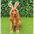 thumbnail image 4 of Midlee Carrot Bunny Ears Easter Dog Headband Costume (Large), 4 of 7