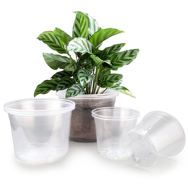 Macetas transparentes para guardería Planter FUOAUYK, paquete de 9 pulgadas, 7 pulgadas/8 pulgadas/9 pulgadas