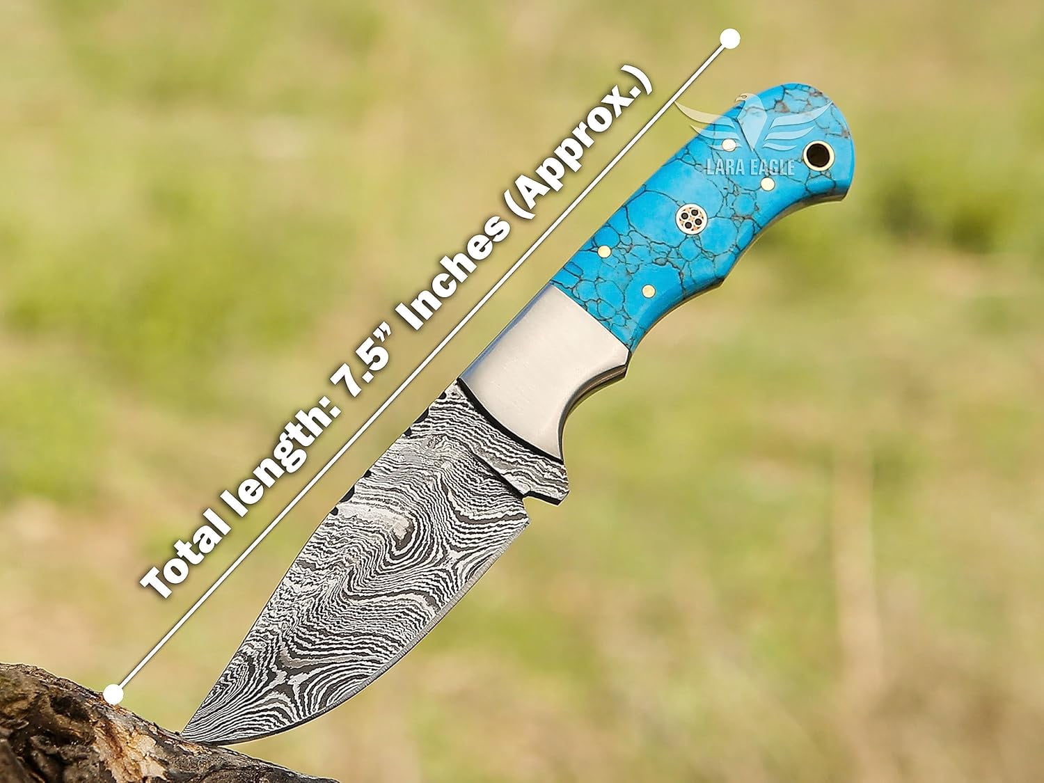 Lara Eagle Damascus Hunting Knife - Fixed Blade Handmade Skinner with Sheath - 7.5 inch Survival Knife Great for Camping - Camel bone Handle with mosaic pin