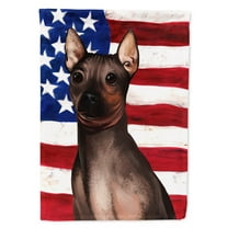Carolines Treasures CK6400GF Hairless Terrier American Garden Size outdoor-flags, Multicolor