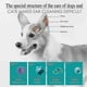 thumbnail image 4 of Gotas para los oídos de mascotas de 20 ml que eliminan los ácaros del oído y mejoran la audición. Limpiador de oídos eficaz para perros y gatos, fácil de usar, suministros para mascotas, 2 piezas, 4 of 5