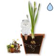 thumbnail image 3 of Bola de riego automático para plantas, maceta con riego automático, paquete de 2, irrigador automático por goteo para plantas de interior y exterior, plantas colgantes, plantas de jardín, protector, 3 of 7