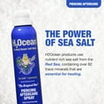 thumbnail image 2 of H2Ocean Tattoo and Piercing Aftercare Spray Sea Salt Saline Spray for Piercings 4oz 1pc, 2 of 7