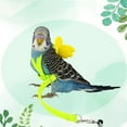 thumbnail image 1 of Flexible Parrot Harness Leash Outdoor Training Traction Rope with Angel Wing, 1 of 10