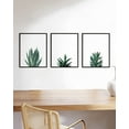 thumbnail image 5 of HAUS AND HUES Cactus Wall Art Succulent Framed Set of 3 - Plant Art Framed, Succulent Pictures Wall Decor, Botanical Artwork for Bedroom, Succulent Couch Set of 3 (16"x20" - Framed Black), 5 of 6