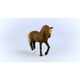 thumbnail image 2 of Schleich Paso Peruano Stallion Action Figure, 2 of 6