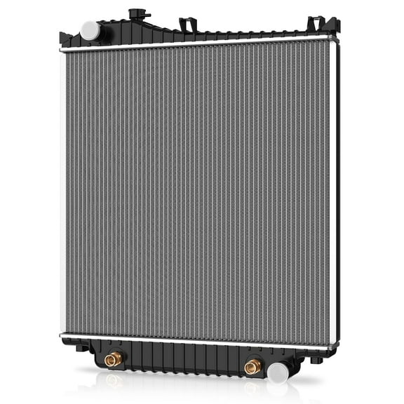 Ledkingdomus Radiator Complete Radiator Compatible with 2006 Ford Explorer 2007 Explorer Sport Trac 2006 Mercury Mountaineer 4.0L V6 4.6L V8