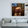 thumbnail image 3 of Trademark Fine Art 'Uptown Pug' Canvas Art by Lucia Hefferna, 3 of 3
