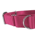 thumbnail image 2 of K-9 Beltz Dog Collar, Martingale, Wide 1.5" 3.8 cm, Nylon Slip Collar Large (16" - 25") (40.6 - 63 cm), 2 of 3