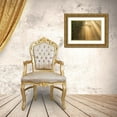 thumbnail image 3 of Moshe, Mallal 32x23 Gold Ornate Wood Framed with Double Matting Museum Art Print Titled - ray of light, 3 of 4