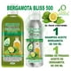 thumbnail image 1 of Bergamota Bliss 500 Pack VIVONATURAL. 1 Shampoo Aceite de Bergamota 500 ml + 1 Crema de Peinado Aceite de Bergamota 250 ml VIVONATURAL, 1 of 5