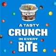 thumbnail image 4 of YoCrunch Vanilla Low Fat Yogurt with Mini M&Ms(R), 4 oz Yogurt Cups, 4 Count, 4 of 15
