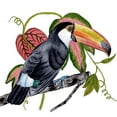thumbnail image 3 of Wang, Melissa 12x12 Black Modern Framed Museum Art Print Titled - Toco Toucan II, 3 of 5