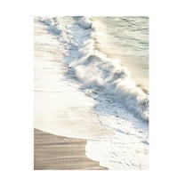 Blue Palomino 'Morning Spray' Canvas Art