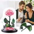 thumbnail image 2 of BNNG Roses Gift For Her Birthday Gifts For Women Colorful Artificial Flower Rose Gift Light Up Rose In A Glass Mom Gifts Unique Love Gifts For Mom Silk Floral Stems Fake Flower Table Centerpieces, 2 of 9