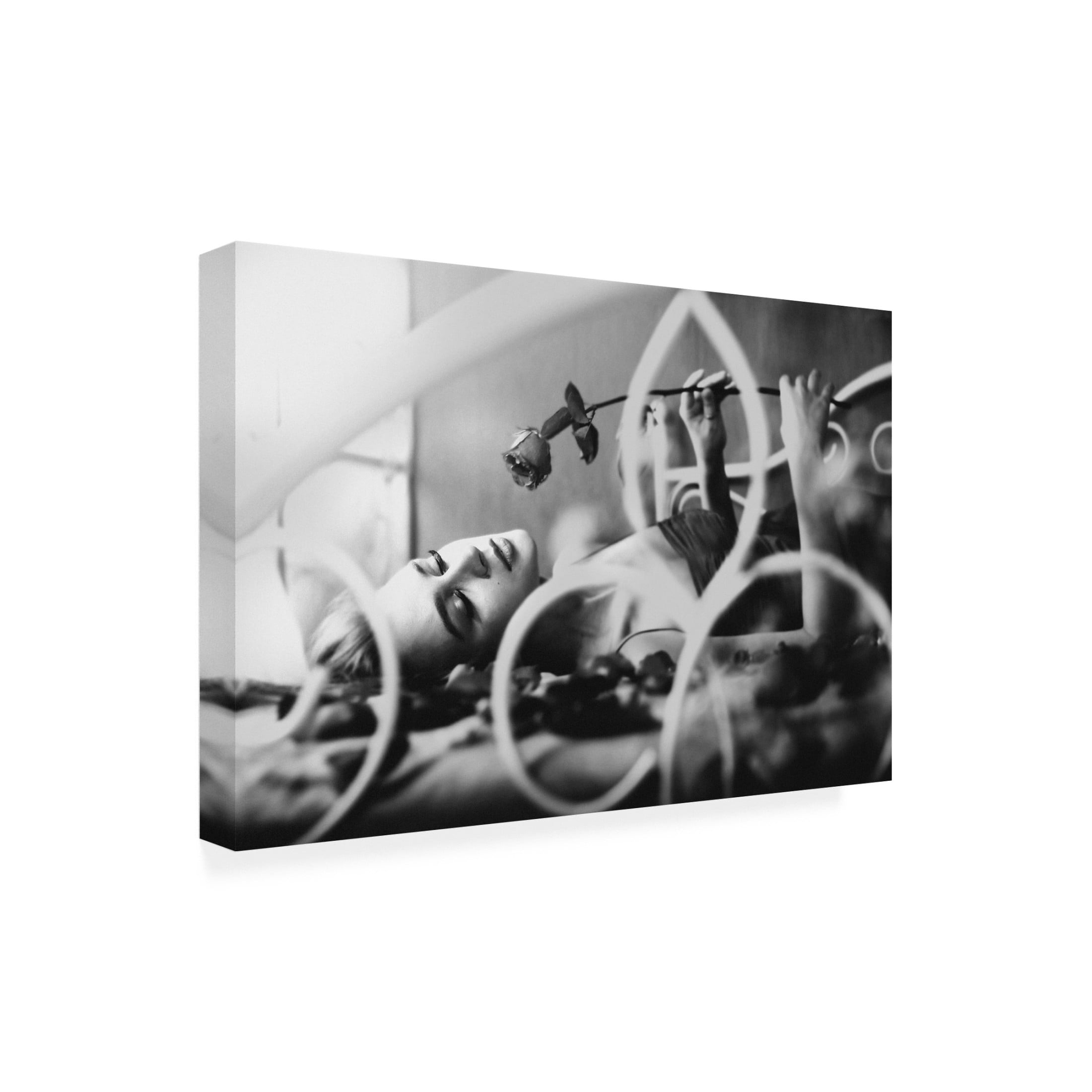Canvas Wall Art - Sebastian Kisworo 'Tori' Wall Art for Living Room, Bedroom, or Office D?cor by Trademark Fine Art - 24 x 16 Inches