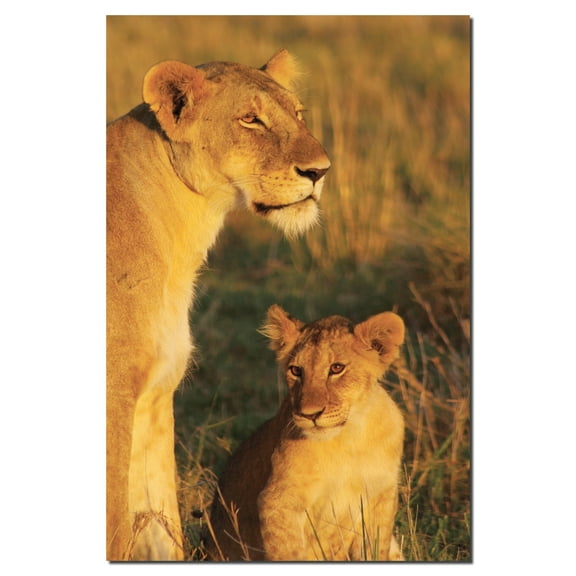 My Mom & I; Beautiful Lioness and her Cub; One 12X18 Poster Print