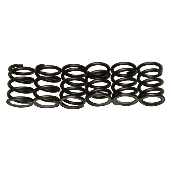 EBC CSK19 - CSK Series Heavy Duty Clutch Spring Kit