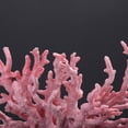 thumbnail image 5 of BIMZUC Plastic Vivid Artificial Coral Plant Ornament for Aquarium Underwater Fish Tank, Pink Small (6.30 in / 16 cm), 5 of 9