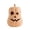 Natural#204, variant on Handcrafted Light Up Jack-O'-Lantern Halloween Decor, Pumpkin Centerpiece with String Lights for Dining Table, Mantel & Spooky Fall Home Display