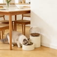 thumbnail image 4 of Twfbrm Automatic Cat Feeder, Gravity Cat Food Dispenser with Detachable Top Lid, 1L Capacity Space-Saving Self Feeding Dish, BPA-Free Pet Food Bowl for Cats and Small Dogs, 4 of 7