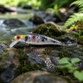thumbnail image 5 of Bisitoy 2Pcs Soft Plastic Fishing Lures Swimbait Paddle Tail Hook for Pike Muskie, 5 of 5
