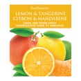 thumbnail image 3 of ScentSationals Room Spray - Lemon & Tangerine, 3 of 4