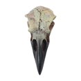 thumbnail image 4 of jicheng Halloween Raven Skull Decor Gothic Necklace Decor for Tabletop Party Holiday 40mmx18mmx17mm, 4 of 9