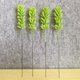 thumbnail image 5 of 6 plantas suculentas artificiales decorativas de plástico para bricolaje, 5 of 5