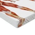 thumbnail image 2 of Ambesonne Anatomy Fitted Sheet, Male Human Body, Twin Size, Coral, 2 of 3