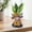 A 8S8, variante sur Rvkxad Tuile de Sol Décorative en Acrylique, Insert de Jardin pour Cour avec Plante en Pot, Tuile de Jardin Déco de Cour