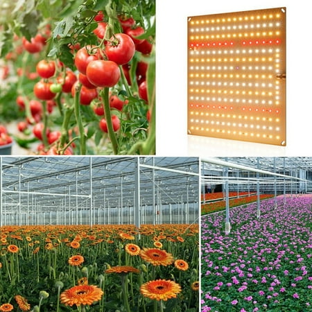 

Led Grow Light for Indoor Plants Phyto Lamp Seedling Grow Full Spectrum Board Grow Lights 50W-(H2)US Plug