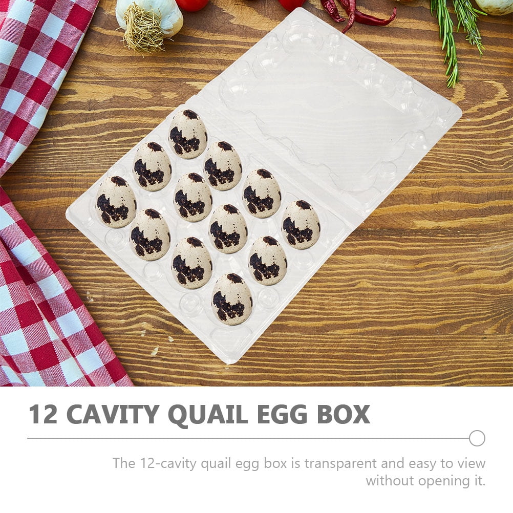 BESTOYARD Transparent Plastic Quail Egg Holder for Easy Viewing and Storage, 100Pcs