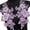 A, variant on Sewing On Iron On Flower Patches with Sequins Embroidery for Easy Crafting Projects Polyester