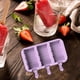 thumbnail image 4 of Molde De Silicona Para Hacer Paletas De Hielo En El Hogar, Molde Para Pasteles De 3 Cavidades, Molde Para Paletas Para Herramienta De Helado Diy Guardurnaity HA035355-00, 4 of 6