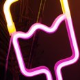 thumbnail image 7 of Deyuer LED Neon Light Creative Shape USB/Battery Operated Flicker Free Ice Cream Neon Sign Lamp Wall Art Decoration, 7 of 7