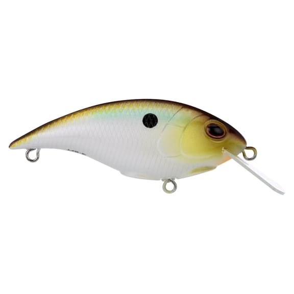 Berkley Shallow Money Badger Fishing Crankbait, 2.5 in, Hybrid Baitfish-Crayfish