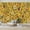 Color 2, variant on Wallpaper Rusty Metal Shabby Arts Rust Copper Patina Earthy Factory Peel and Stick Wall Murals 69"H x 96"W Removable PVC Wall Paper Self-Adhesive Wall Paintings Art Decor for Bedroom Living Room