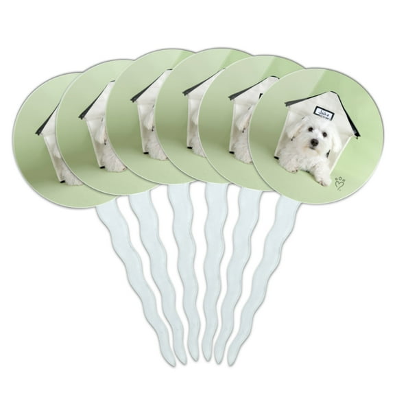 Bichon Frise Maltese Puppy Dog in House Cupcake Picks Toppers Decoration Set of 6