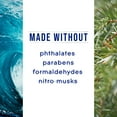 thumbnail image 5 of Glade PlugIns Scented Oils Air Freshener Refills, Sea Mist & Cypress, Fresh Collection, 0.67 fl oz Each, 5 Refills, 5 of 12