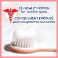 thumbnail image 4 of Colgate PerioGard Gum Care Toothpaste 70mL 2pk, PerioGard Gum Care Toothpaste 2pk, 4 of 5