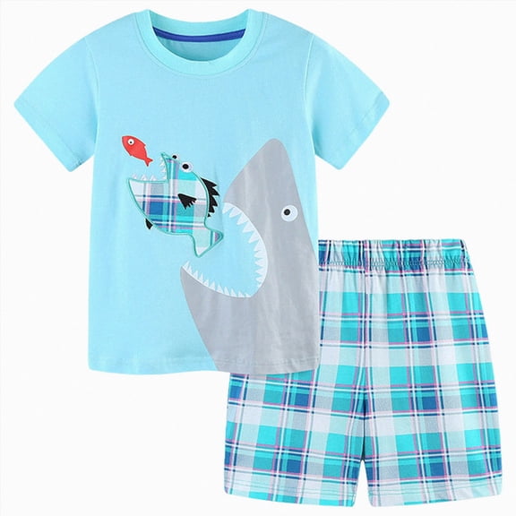 Toddler Baby Boy Outfits Summer Clothes Set Cartoon Embroidered Short Sleeve T-Shirt & Shorts, Fashion Casual Summer Clothes 5-6 Years