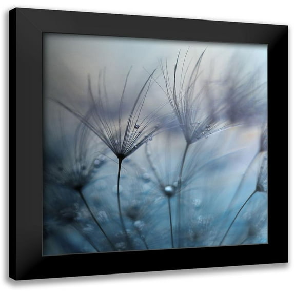 Irthum, Mathieu 15x15 Black Modern Framed Museum Art Print Titled - Teardrops